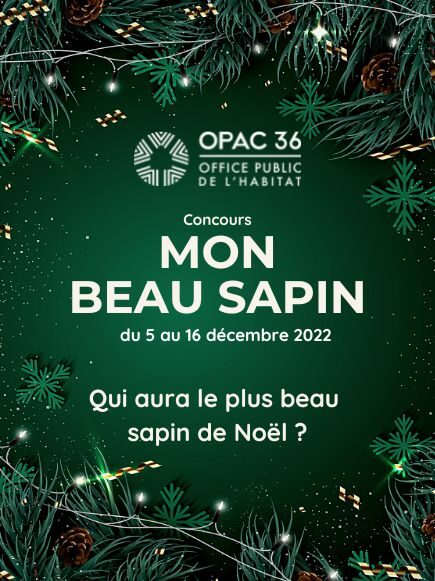 CONCOURS - Mon Beau Sapin