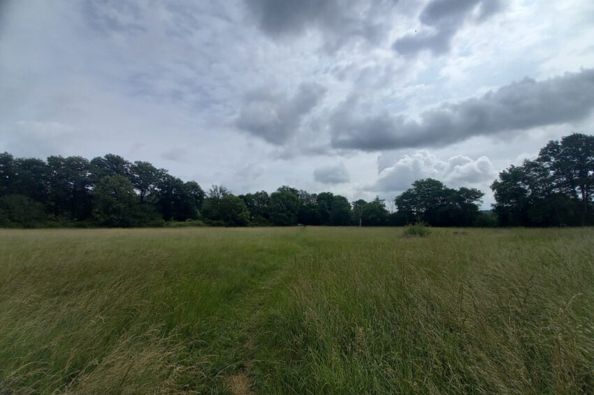 Terrain – 123000 € – LE PÊCHEREAU