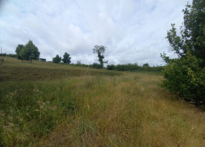 Terrain - 25000 € - ARGENTON-SUR-CREUSE