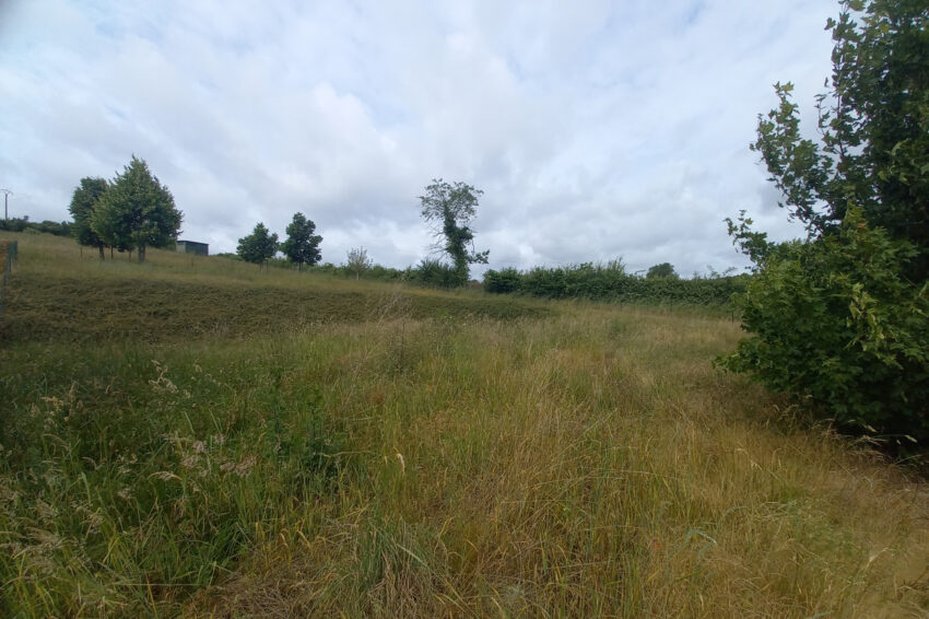 Terrain – 25000 € – ARGENTON-SUR-CREUSE