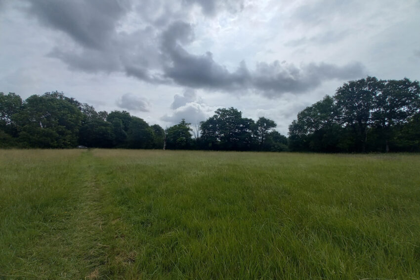 Terrain – 123000 € – LE PÊCHEREAU