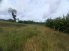 Terrain – 25000 € – ARGENTON-SUR-CREUSE