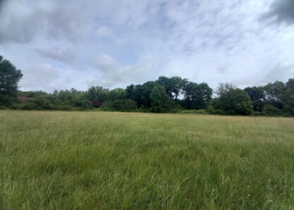 Terrain - 123000 € - LE PÊCHEREAU