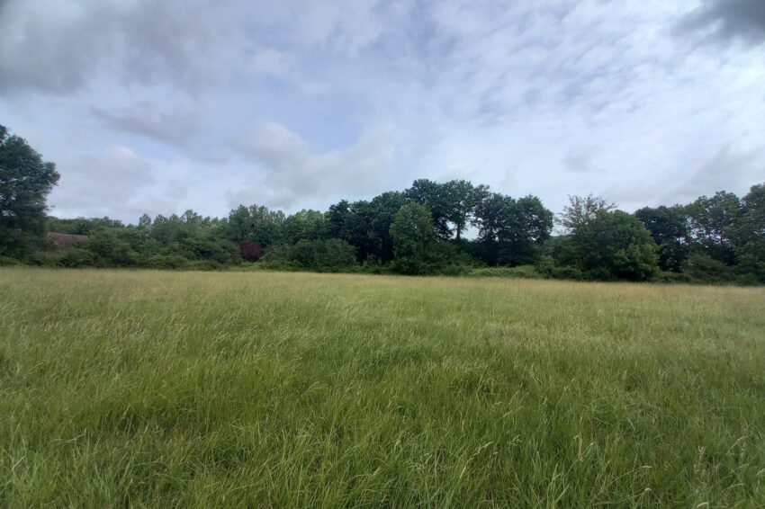 Terrain – 123000 € – LE PÊCHEREAU