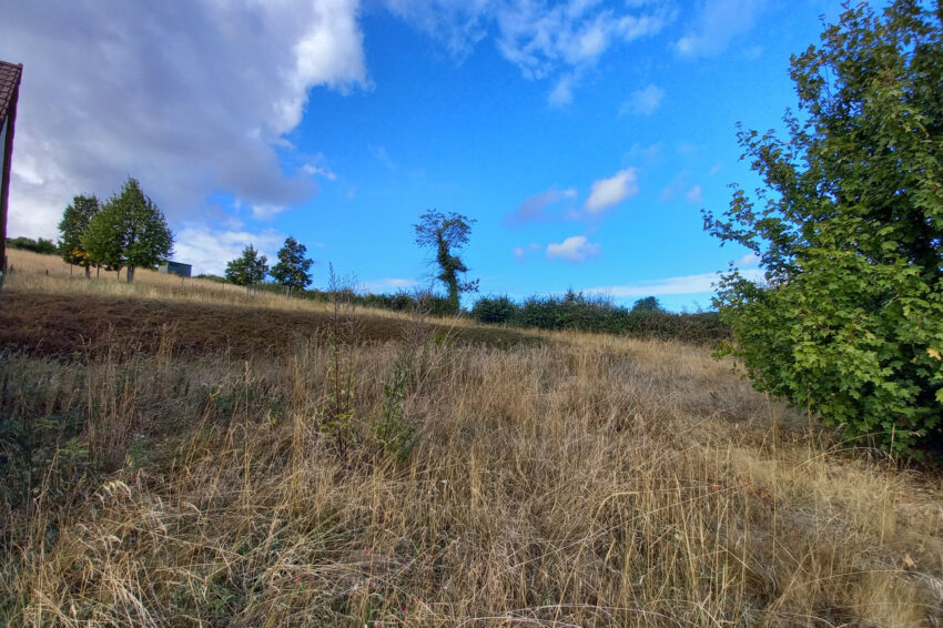Terrain – 25000 € – ARGENTON-SUR-CREUSE